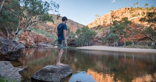 36657-431892f5-dc1e-4a72-a147-ef06158c76c8-thumbnail