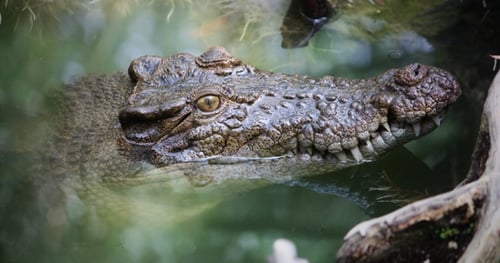 44962-72f8a3ec-2d75-49e6-815a-588dde3af915-thumbnail