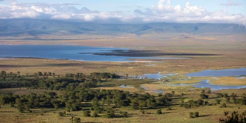 d4af42a17ab6f3ac47503ea537aa6728