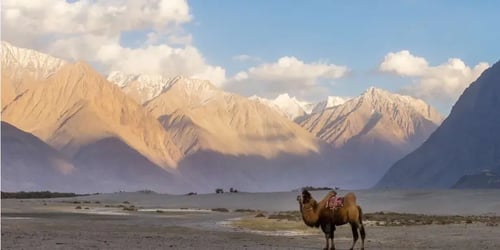 c26694b9fddddc6600673968f1a16841