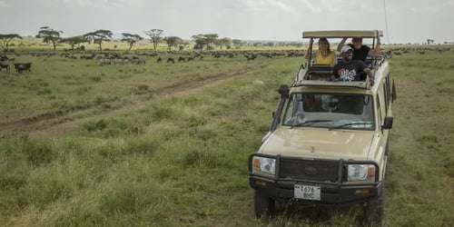 46404a653857a06809f2ae00a3b098f0