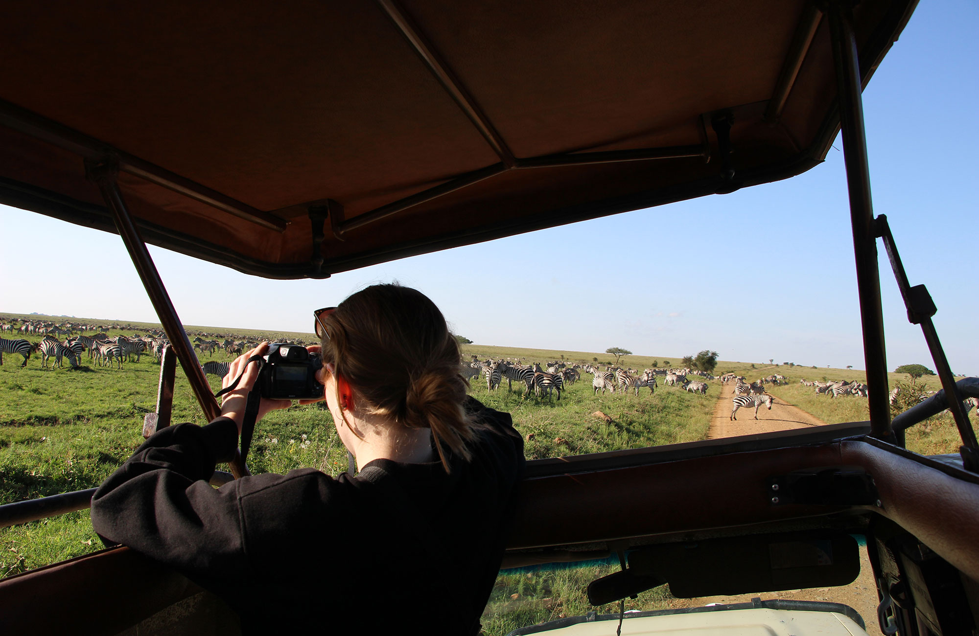 Image of a woman taking a photo of zebras from a safari truck in Africa - KILROY