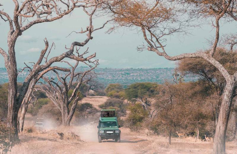 Image of a safari jeep on a dusty trail in the Serengeti in Tanzania - KILROY