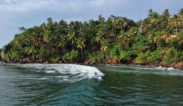 costa-rica-surfer-palmtrees-cover